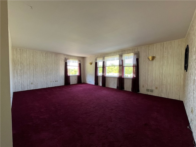 carpeted spare room with a wealth of natural light