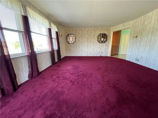 empty room featuring wood walls and carpet flooring