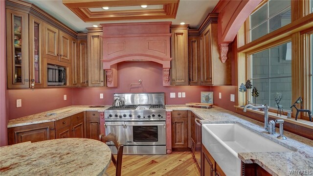 kitchen with sink, stainless steel appliances, a raised ceiling, light stone counters, and light hardwood / wood-style floors