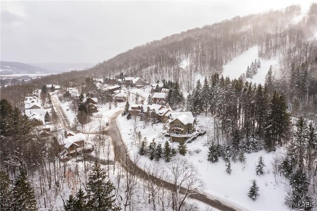 snowy aerial view featuring a mountain view