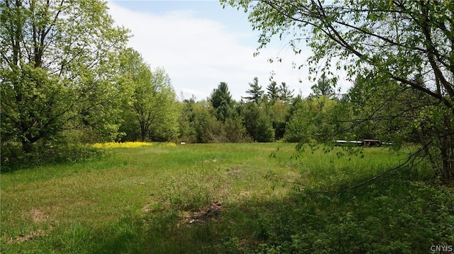 Listing photo 3 for 182 Osborne Rd, Pitcairn NY 13648