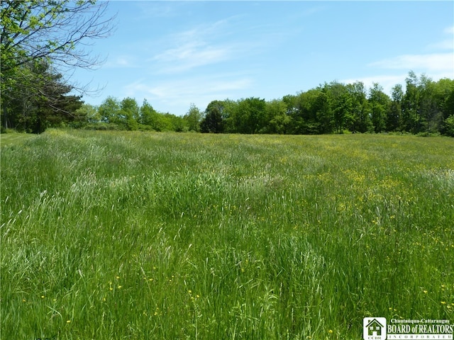 0 Prospect St, Sherman NY, 14781 land for sale