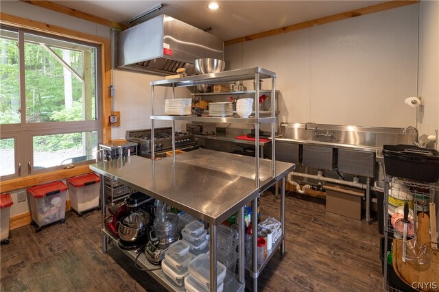 kitchen featuring a wealth of natural light, dark hardwood / wood-style floors, and stainless steel counters