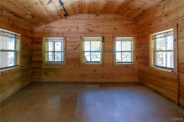 unfurnished room featuring a healthy amount of sunlight, wood ceiling, and lofted ceiling