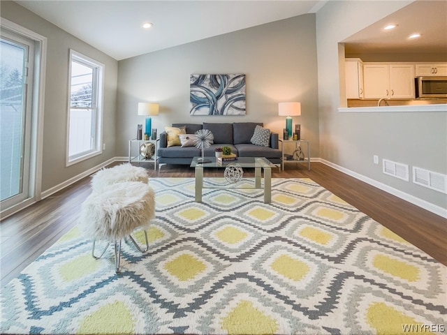 living room with lofted ceiling and dark wood-type flooring