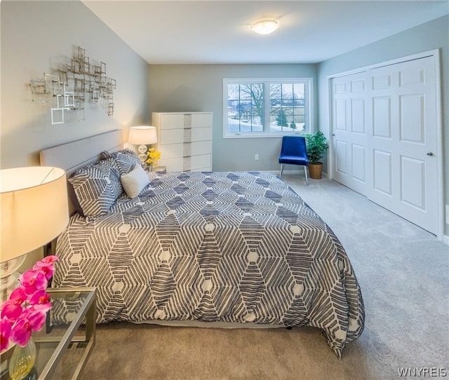 bedroom featuring carpet floors and a closet