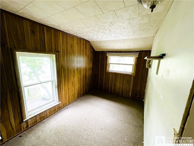 spare room featuring wooden walls, lofted ceiling, and a wealth of natural light