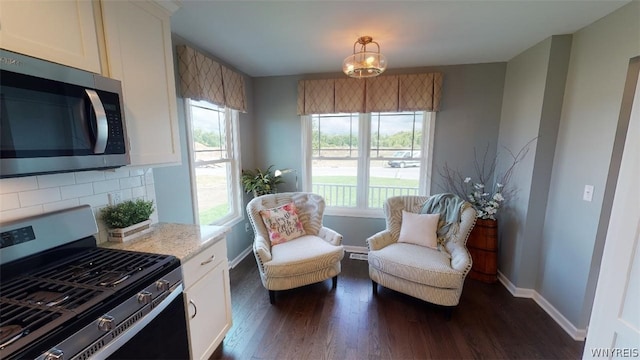 living area featuring dark wood-type flooring, a wealth of natural light, and baseboards