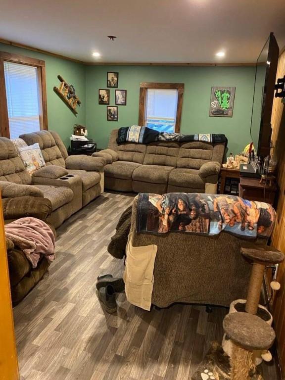 living room with a healthy amount of sunlight and wood-type flooring