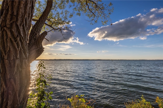 water view