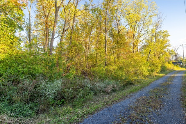 view of road