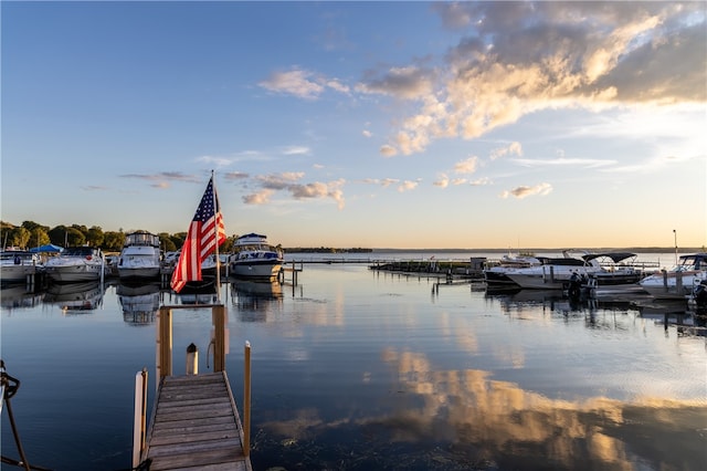 dock area featuring a water view