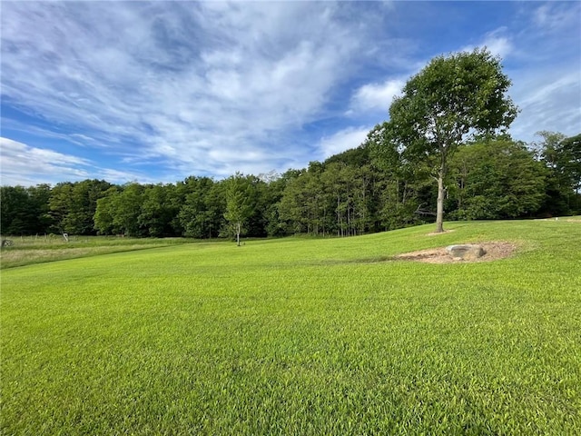 1234 Overhiser Rd, Hanover, NY 14062 - view of grassy yard with a wooded view