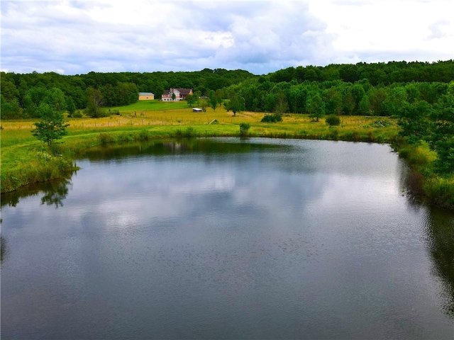 view of water feature