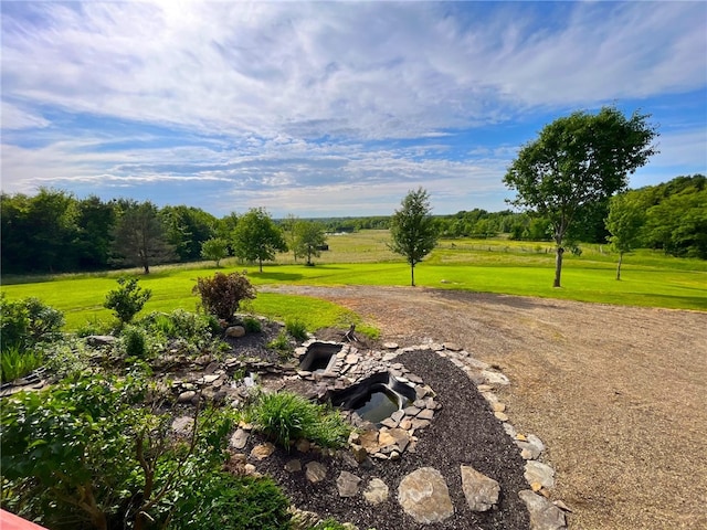 view of yard