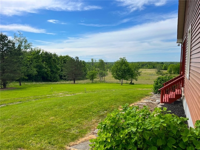 view of yard with a rural view