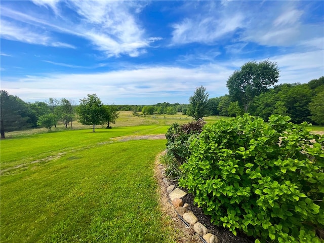 view of yard featuring a rural view