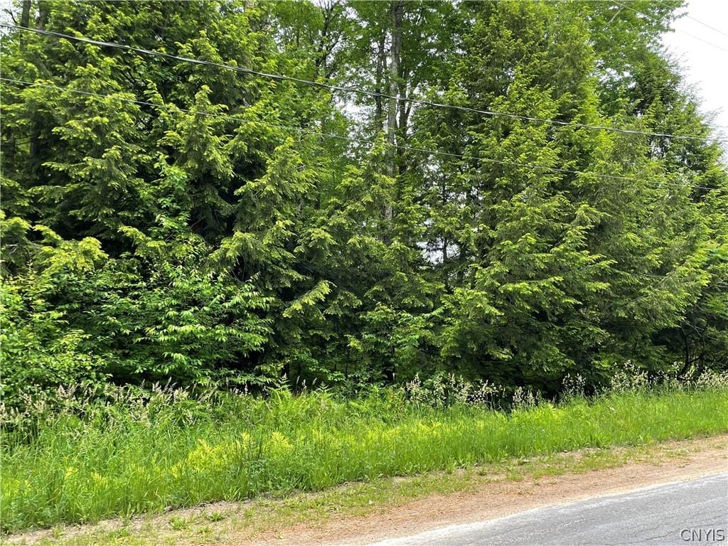 0 N Hillsborough Rd, Amboy, NY 13316