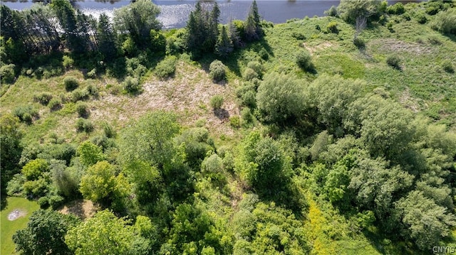 33583 Broadwell Rd, Theresa, NY 13691
