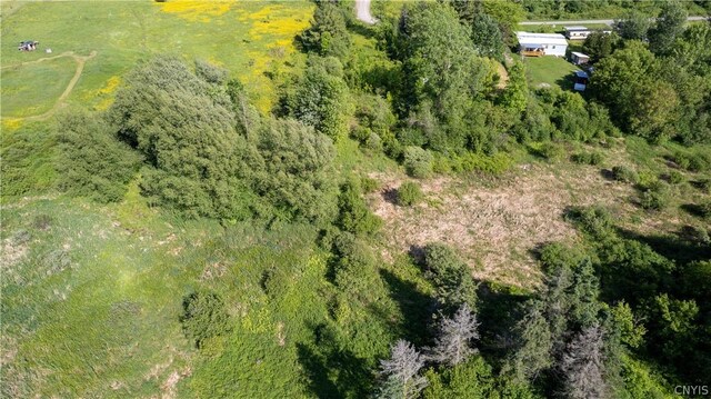33583 Broadwell Rd, Theresa, NY 13691