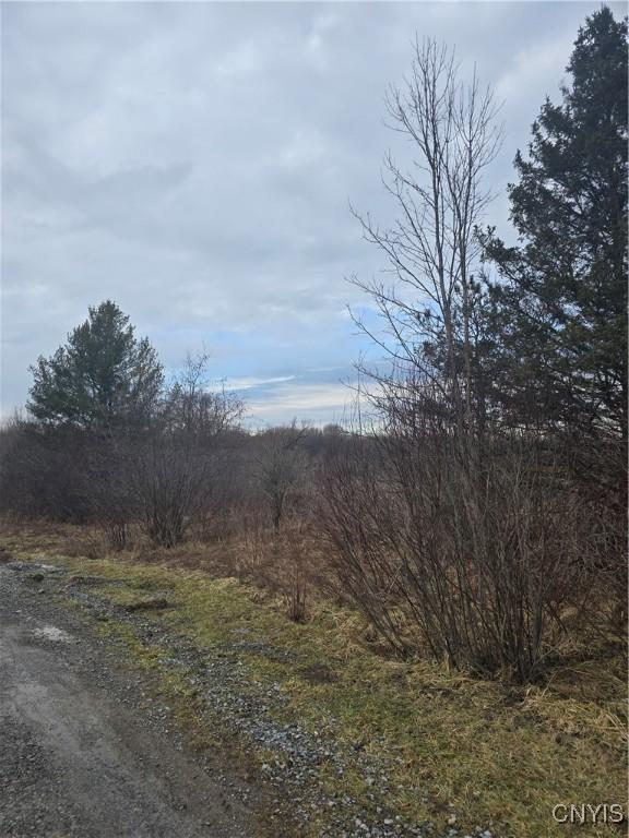 33583 Broadwell Rd, Theresa, NY 13691