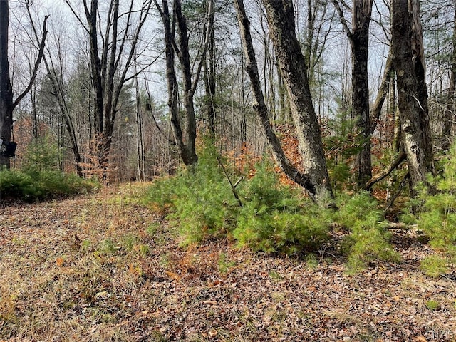 Listing photo 3 for LOT12 Cramer Ln, Amboy NY 13493