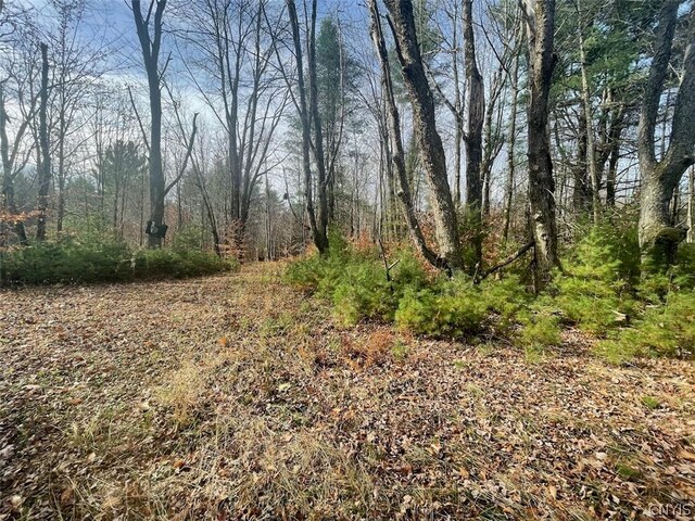 LOT12 Cramer Ln, Amboy, NY 13493