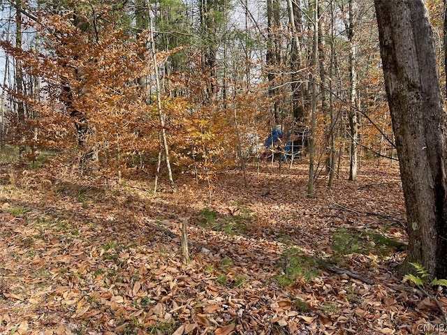 LOT12 Cramer Ln, Amboy, NY 13493