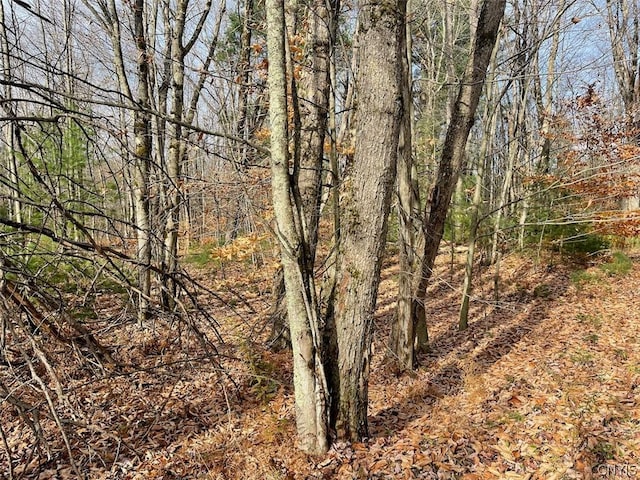 LOT12 Cramer Ln, Amboy, NY 13493