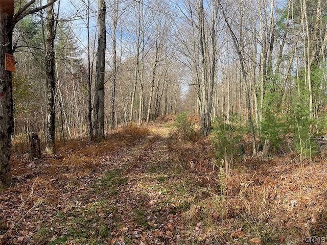 LOT12 Cramer Ln, Amboy, NY 13493