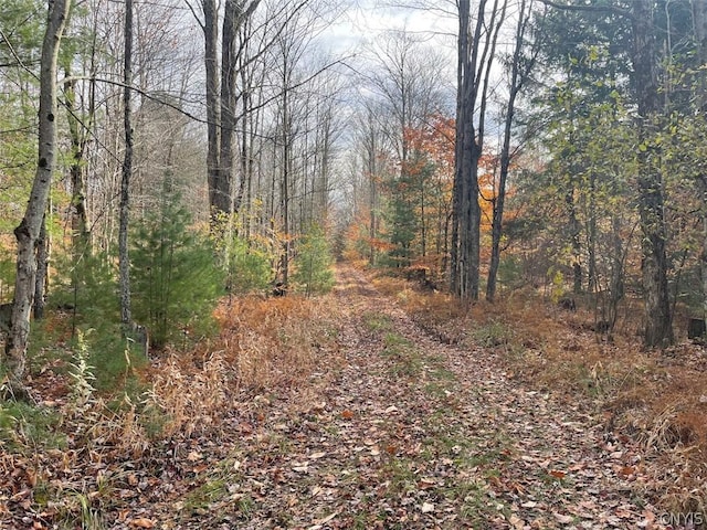 LOT12 Cramer Ln, Amboy, NY 13493