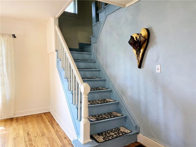 staircase with wood-type flooring