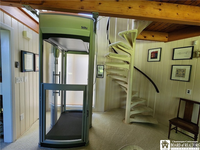 exercise room with carpet flooring and wood walls