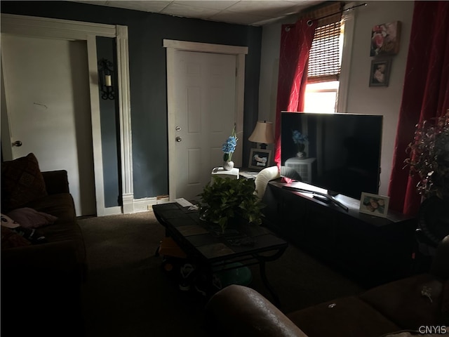 living room featuring carpet floors