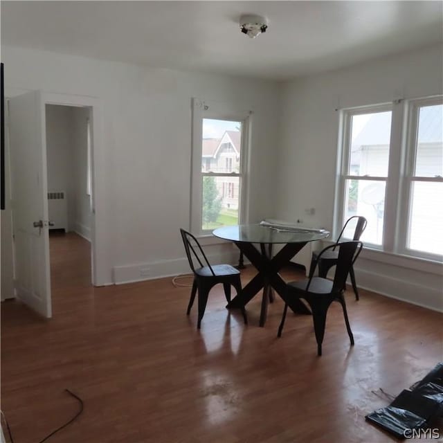 dining room with dark hardwood / wood-style floors and radiator heating unit