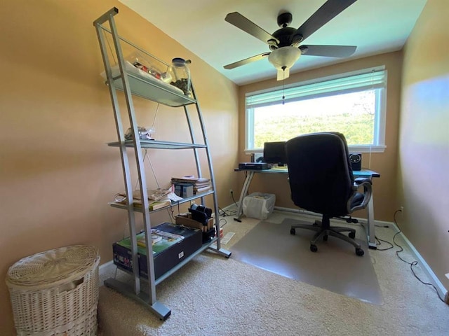 office space with ceiling fan and carpet floors