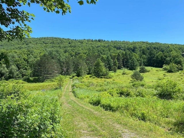 view of nature