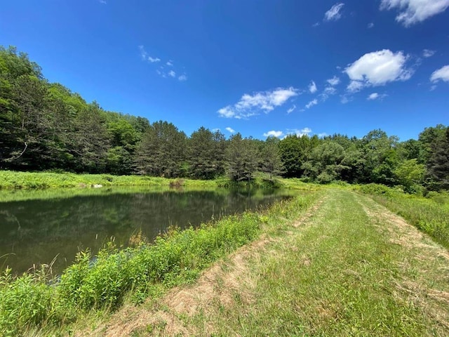 view of nature with a water view