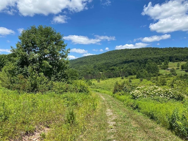 property view of mountains