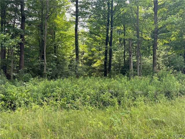 24845LOT4 Sanford Corners Rd, Le Ray NY, 13616 land for sale