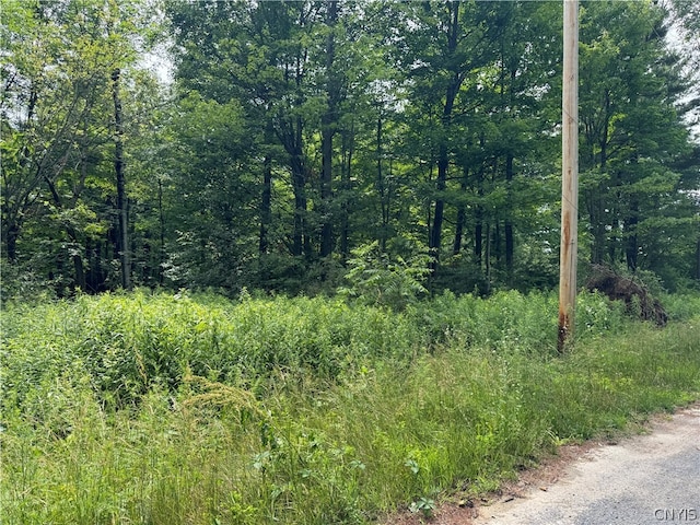 Listing photo 2 for 24845LOT4 Sanford Corners Rd, Le Ray NY 13616