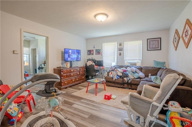 living room with light hardwood / wood-style floors