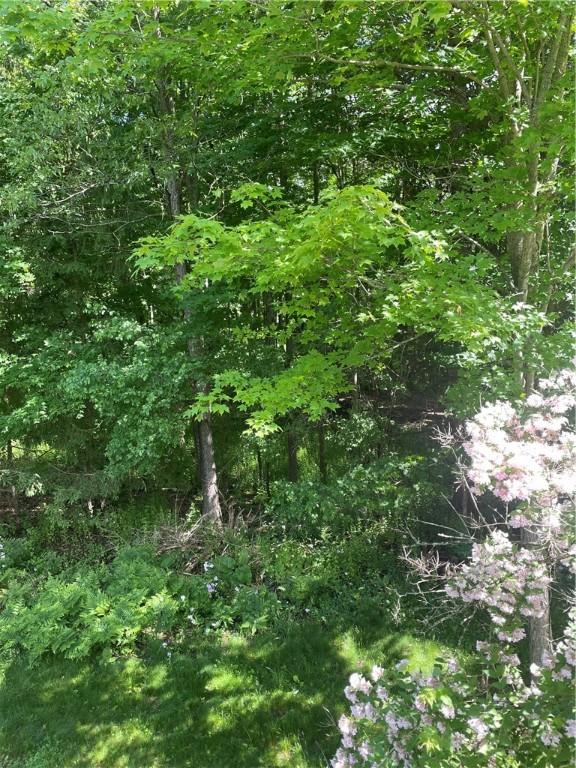 view of nature featuring a view of trees