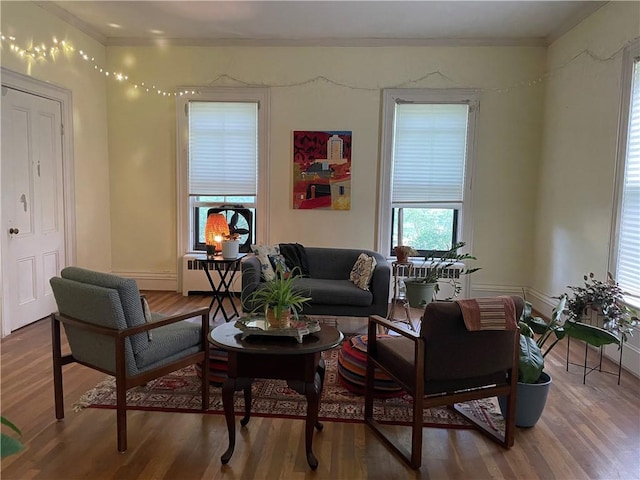 living room with radiator, crown molding, and wood finished floors