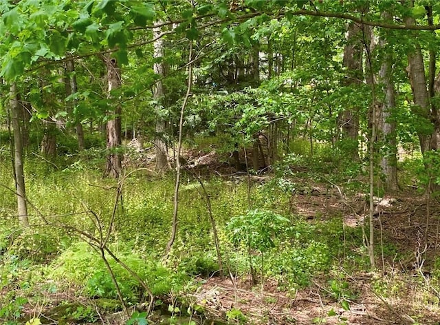 view of landscape with a wooded view