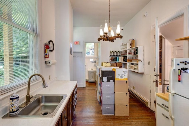 kitchen featuring sink, hanging light fixtures, dark hardwood / wood-style floors, white refrigerator, and a notable chandelier