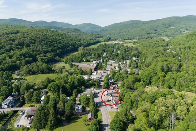 drone / aerial view with a mountain view