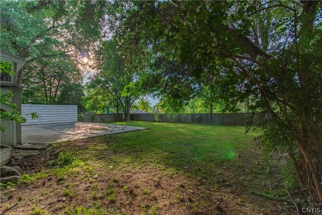 view of yard featuring a patio