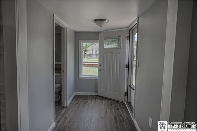 entryway with wood-type flooring