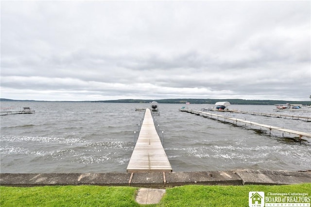 dock area with a water view